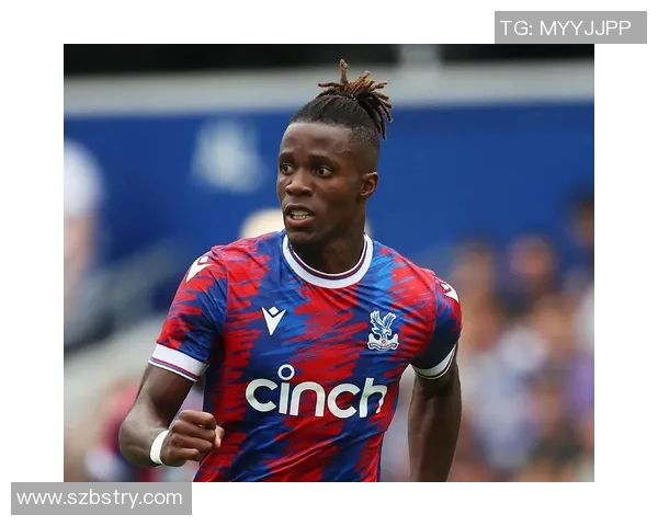 扎哈带领水晶宫再创辉煌 其个人能力与球队未来发展全解析 扎哈带领水晶宫再创辉煌 其个人能力与球队未来发展全解析