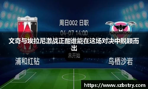 PA视讯